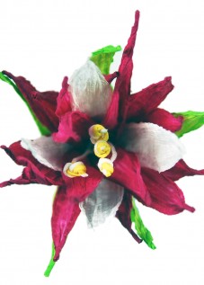 PaperPhine: Papierblume - Blume aus Papierschnur