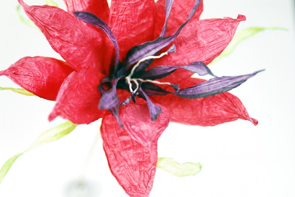PaperPhine: Papierblume - Blume aus Papierschnur